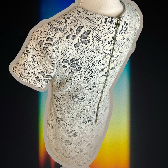 Calvin Klein Black & White Lace Print Jacquard Short Sleeve Dress Size 4 - Picture 6 of 11
